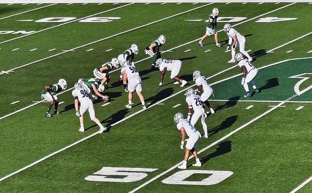 在布里斯班 在布里斯班