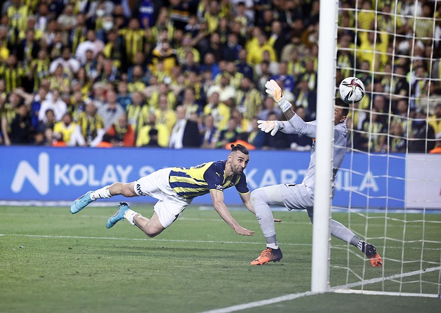 精彩的胜利 精彩的胜利