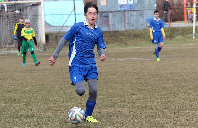 承担了明确 承担了明确